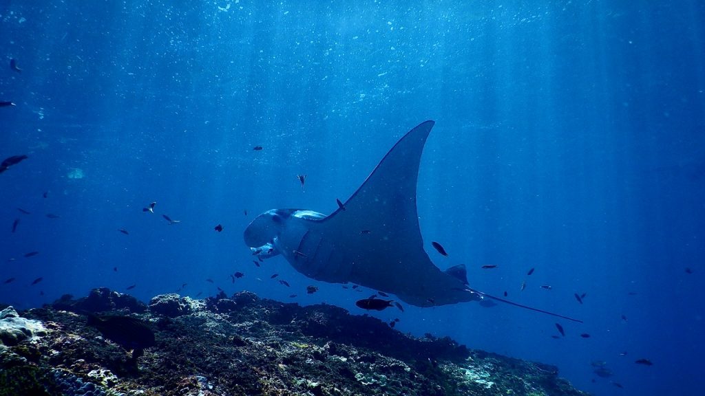 Blue Lagoon - Lagoa Azul - Best diving destinations in Sao Tome and ...